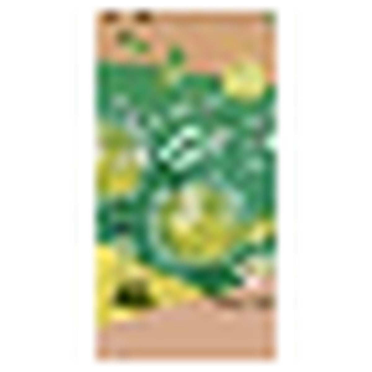 Genmaicha(Roasted Rice Tea) with Matcha40P (Tea Bag)120g NOMURA TEA GARDEN