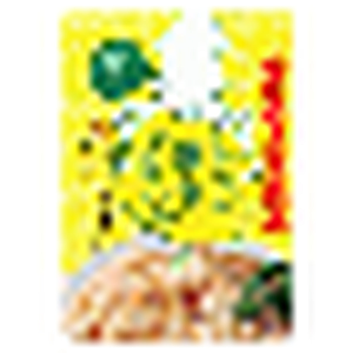 SMOKED SQUILD SNACK INOUE FOODS GRILLED DRIED