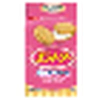 Sandwich Cracker 16P