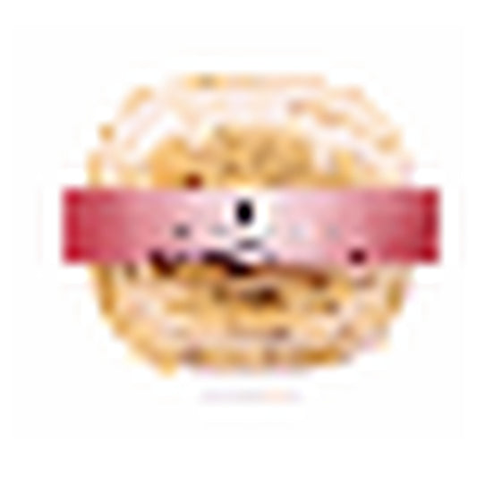 SAKURAYA Miyako Mochi