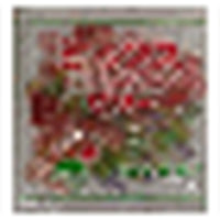 165g ASAHI GROUP FOOD IPPON